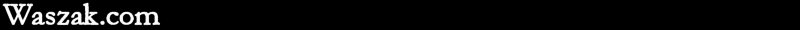 Waszak.com logo